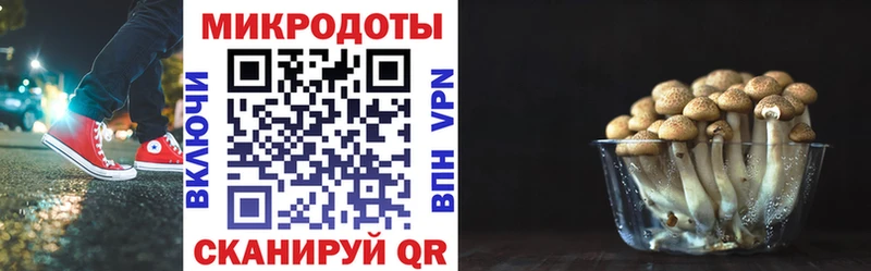 Галлюциногенные грибы Cubensis  Вельск 